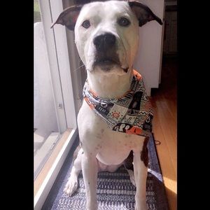 Meet your Posher, Kelsey